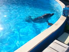 䂸܂܂̓mr[`h&mቤւ̓eʐ^1