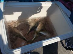 ̊Cޖx@ނ̓Cւ̓eʐ^1