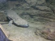 �݂�����񂳂�̐Ԗڎl�\����(�Ԗڑꐅ����)�̓��e�ʐ^1