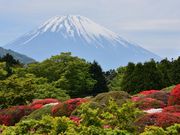 ZCR̎R̃zẽccW̓eʐ^1