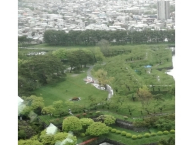 �̂ǂ��`_�ܗŊs����