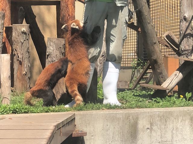 ���������^�C����_���R������