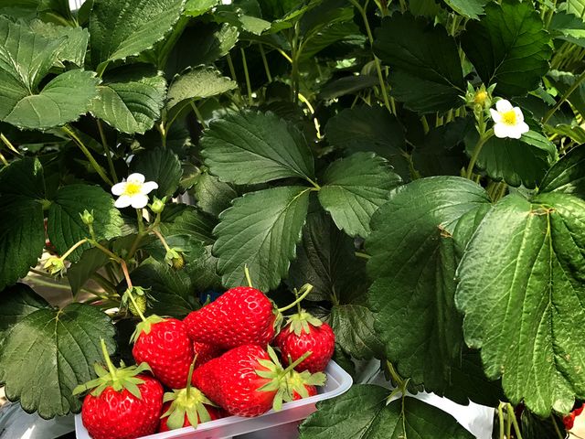 䕂̃}VF_kc_@䕂̃}VF