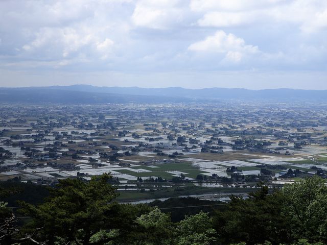 �U�����W�]�L�ꂩ��̒��]_�v�g����̎U���i��