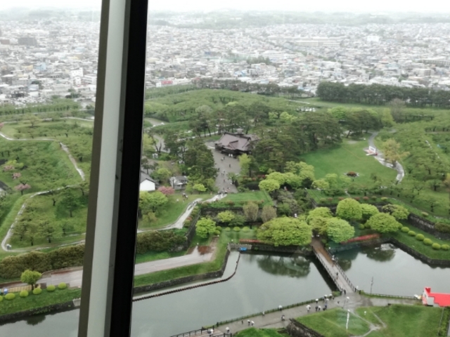 �L���C�Ȍ`����_�ܗŊs��