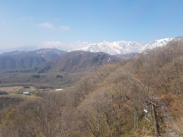 �΂��������I_�̒r����