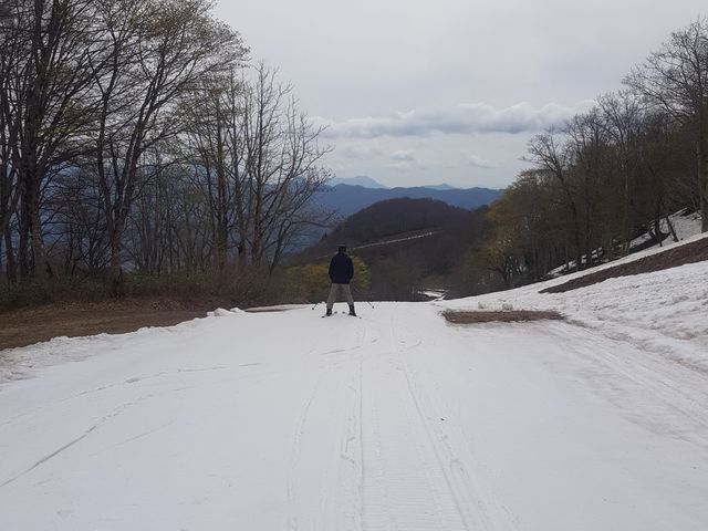 �X�L�[��_Hakuba47�E�B���^�[�X�|�[�c�p�[�N