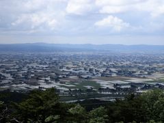 �j����������̓v�g����̎U���i�ςւ̓��e�ʐ^1