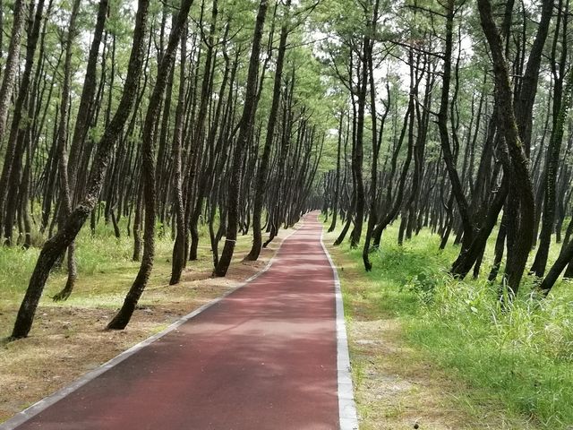 県立阿波岐原森林公園
