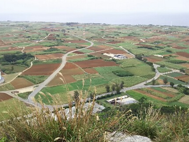 �����p�b�`���[�N�̂悤�ł����B_�ɍ]���^�b�`���[