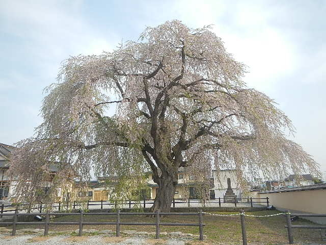 �������_�@�T��