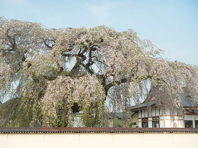 �������_�@�T��