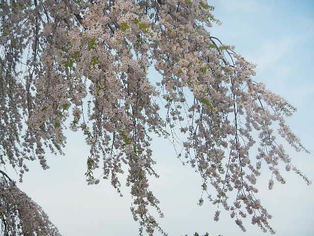 �������_�@�T��