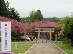 石崎地主海神社の口コミ一覧 じゃらんnet