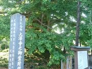 ܁[񂳂̏򎛂̃IncLC`E̓eʐ^2