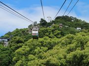 10238485̐R[vEFC̓eʐ^1