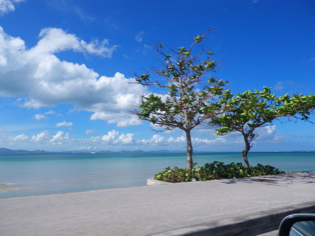 �����J����_�C�����H