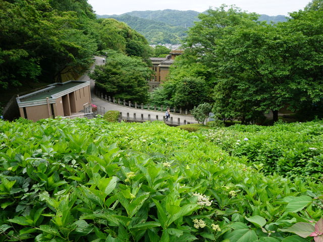 【徳島県文化の森総合公園】アクセス・営業時間・料金情報 じゃらんnet