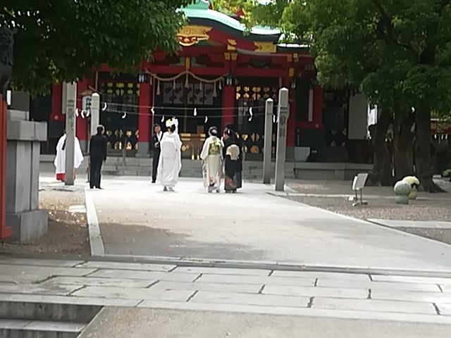 ���i_���_��