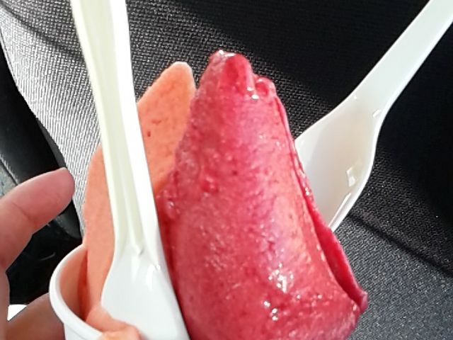 `F[ƃubhIW_peBX[YOSHI