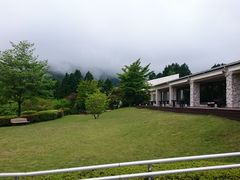 ��΂Ȃ䂫�䂫����̏��c�}�������C�N�z�e���ւ̓��e�ʐ^1