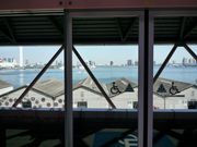 Todayŝ肩߂̓eʐ^1