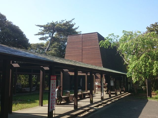 �O��_���C�m������