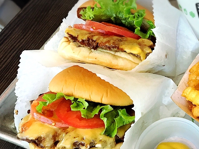 AJ_VFCNVbN ۃtH[X iSHAKE SHACKj