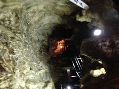 ���񂲂邳��̓����������ւ̓��e�ʐ^1