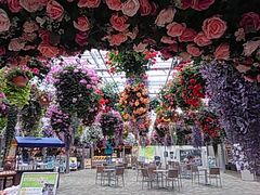 ݂̎OXJCEH[Nւ̓eʐ^1