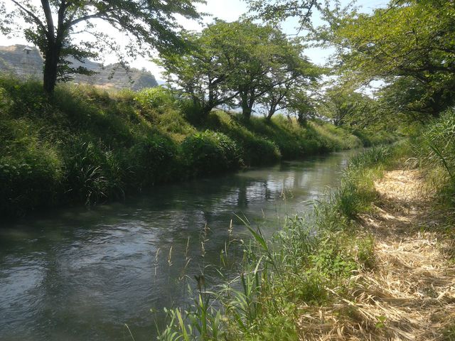 ��ɂ́A����������n�߂܂��B_�Y���쒆��������