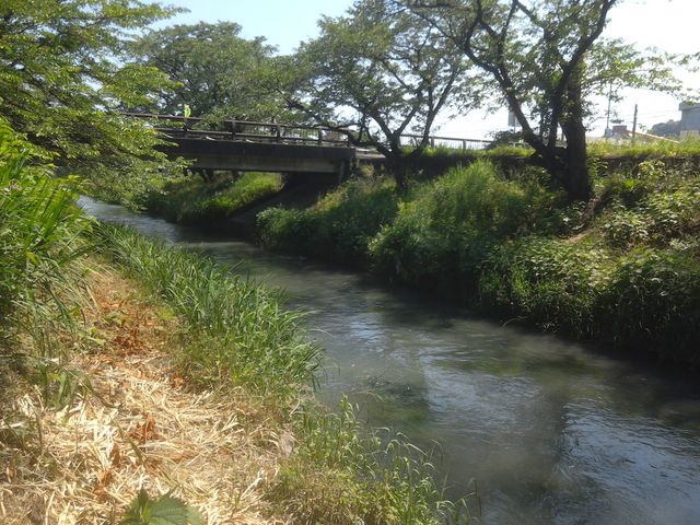 ������_�Y���쒆��������