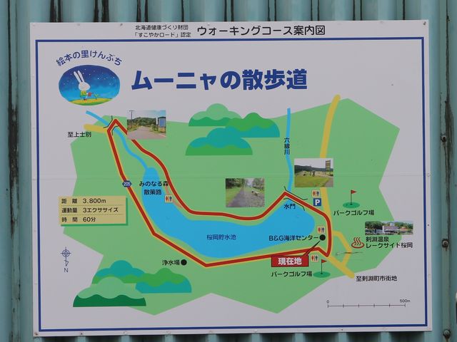 �ē���_���[�j���̎U����