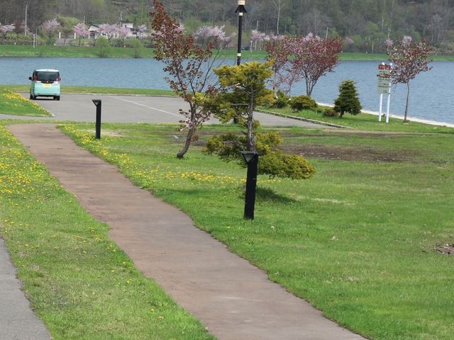 �U����_���[�j���̎U����