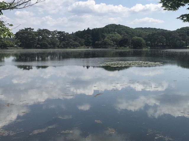 �Y��Ȍ�_���