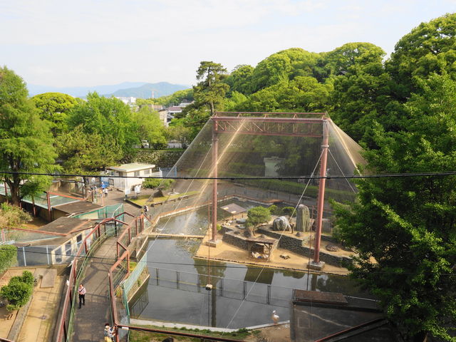 ����̓�����_�a�̎R�����������