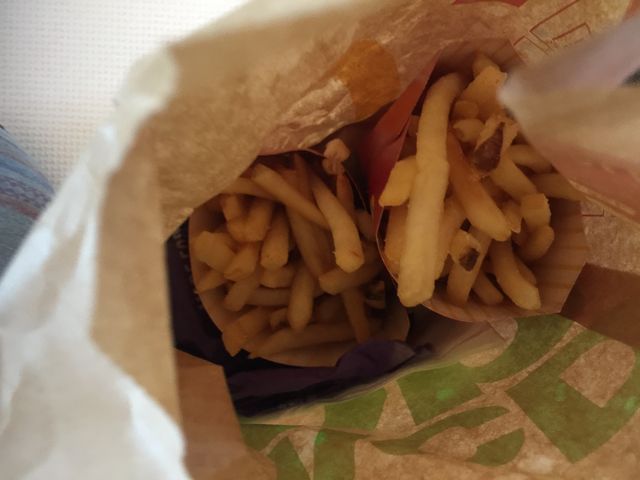 ||^̃}Nhih246X̓eʐ^1