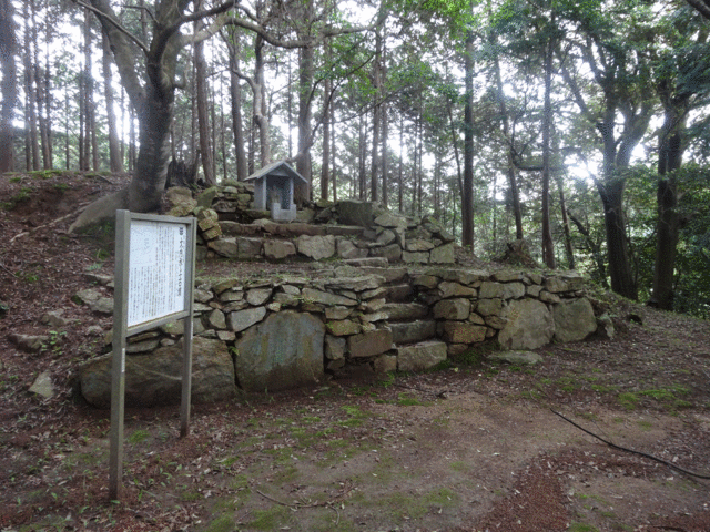 古墳のまわりをぐるっと回れます_大内氷上古墳