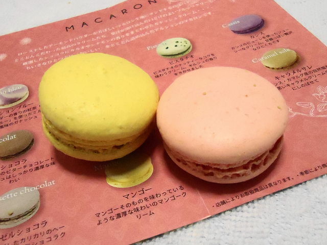 �܂�����̃A�g���G�A���V�����̓��e�ʐ^1