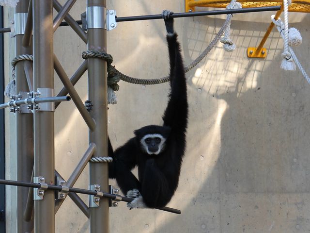 �e�i�K�U��_���R������