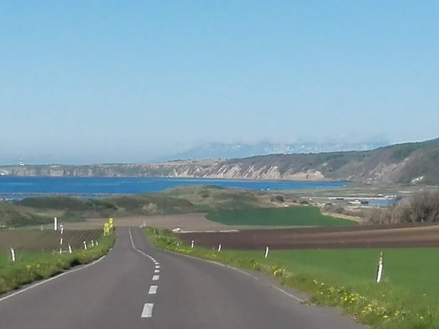 ���[���Ƒ������H�̐�ɁA�f�G�Ȍi�F�������Ă��܂����I_�\�斦�C��