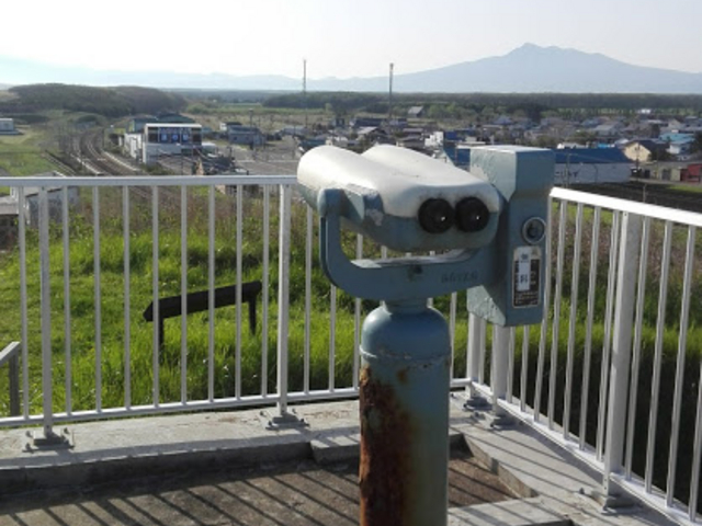 �]����������܂������A���Ă���悤�ł�( ;�L��`)_�t���g�C�W�]��