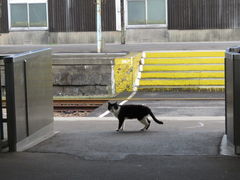 阿光さんの日本最西端の鉄道駅「たびら平戸口駅」への投稿写真1