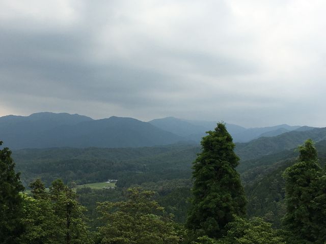 �{�ۂ���̌i�F_�⑺���