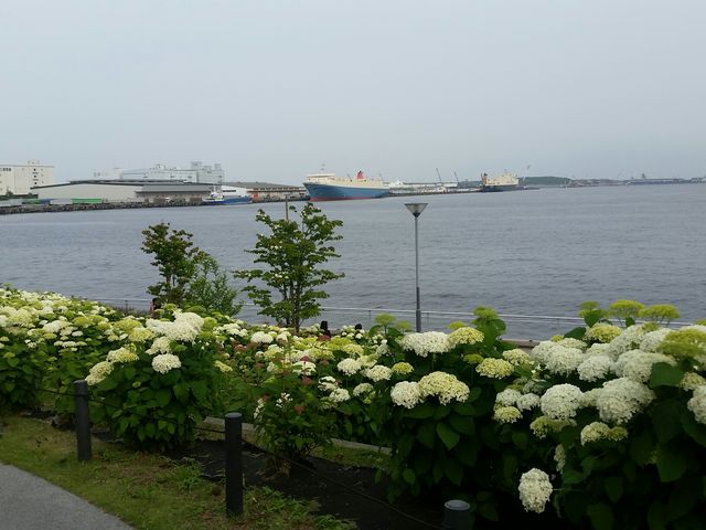 �������z��_���̍L�����