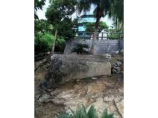 �g�[�`�J�B_�Ð��������