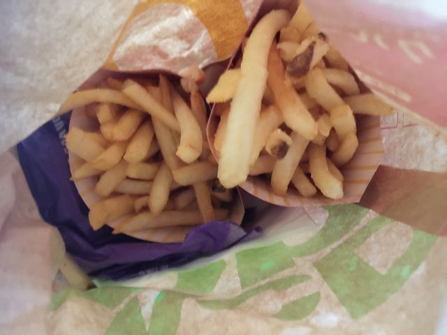 ||^̃}NhihPwOX̓eʐ^1