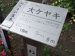 T[x^CK[̗nR_Ђ̑PLւ̓eʐ^1