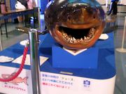 jyarapon̊CƂ炵̎jق̓eʐ^1