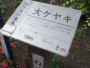 T[x^CK[̗nR_Ђ̑PL̓eʐ^1